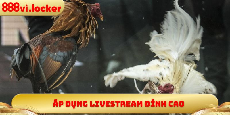 Áp dụng Livestream đỉnh cao