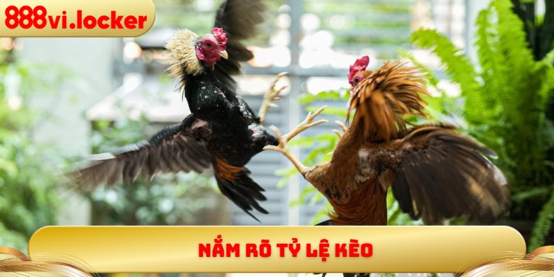 Nắm rõ tỷ lệ kèo