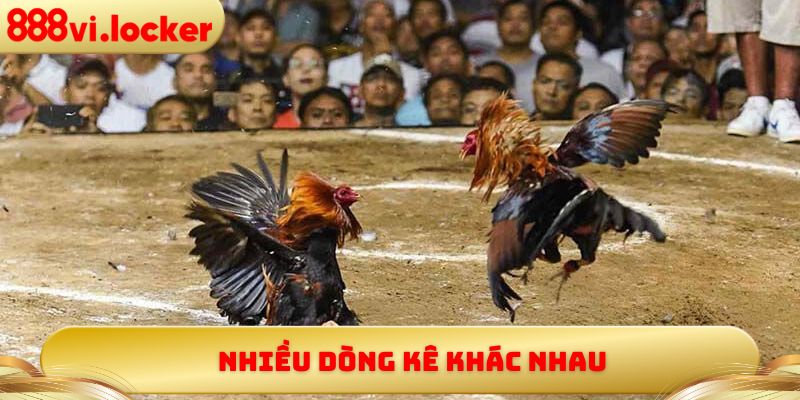 Nhiều dòng kê khác nhau