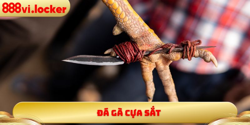 Đá Gà Cựa Sắt