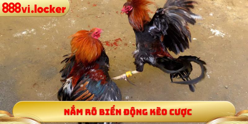 Nắm rõ biến động kèo cược