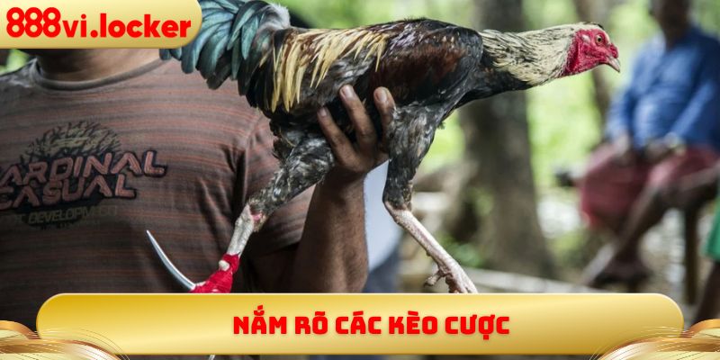 Nắm rõ các kèo cược