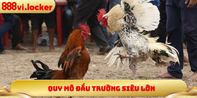 Quy mô đấu trường siêu lớn